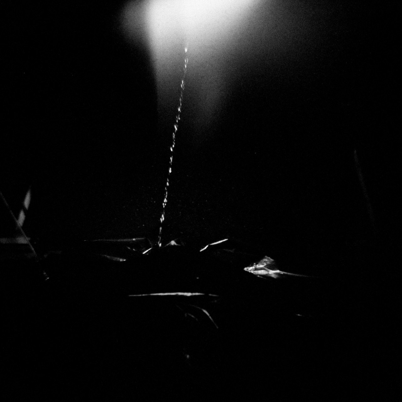 5jan2019;tmy2;rod1pl50;13min;dianf ;mitm; row1;oneframe