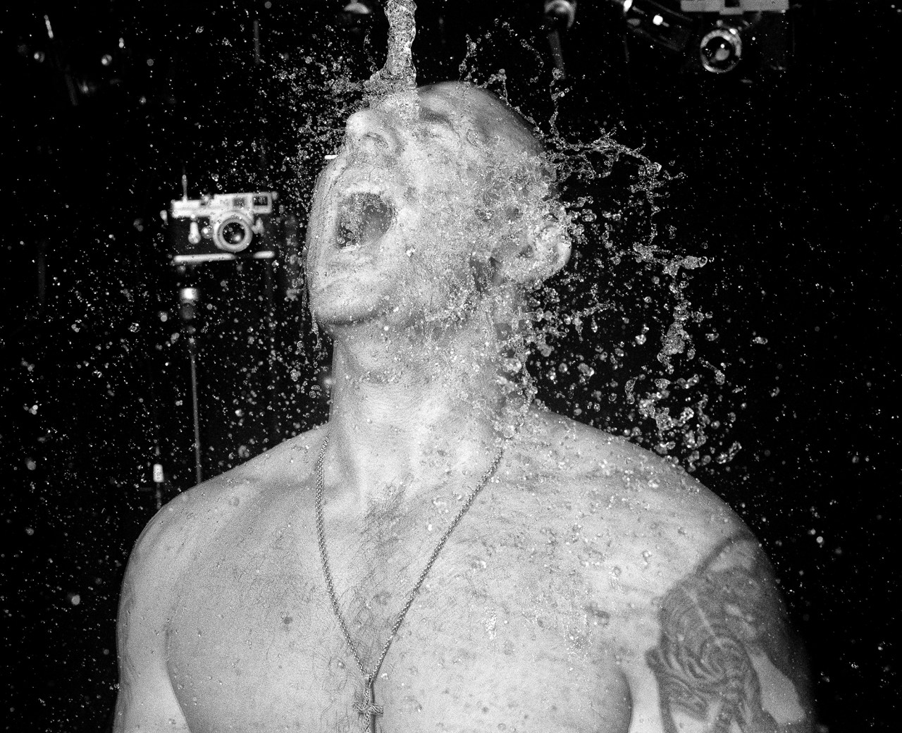 no3; 22dec2018;mitm; tmy2;rod1pls50;11min; mamiya rz140; row 3 x1